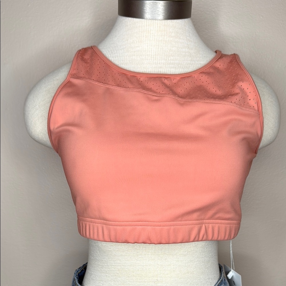 BuffBunny Pink Sports Bra Satin Finish